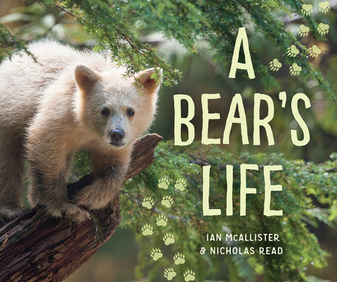 A Bear's Life (My Great Bear Rainforest #2)