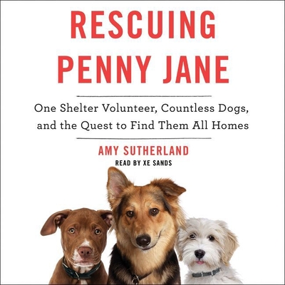 Rescuing Penny Jane Lib/E: One Shelter Volunteer, Countless Dogs, and the Quest to Find Them All Homes Cover Image