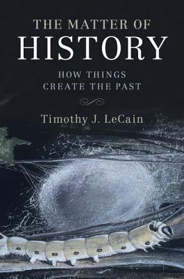 The Matter of History: How Things Create the Past (Studies in Environment and History)