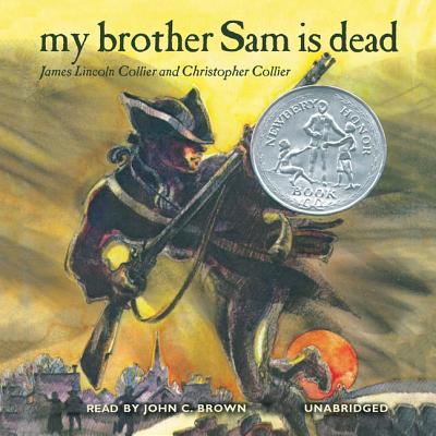 in the book my brother sam is dead