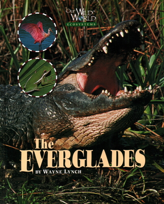 Everglades (Our Wild World Ecosystems)