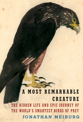 A Most Remarkable Creature: The Hidden Life and Epic Journey of the World's Smartest Birds of Prey Cover Image