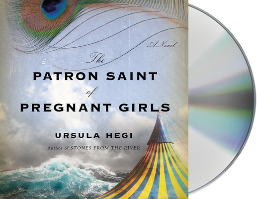 The Patron Saint of Pregnant Girls: A Novel