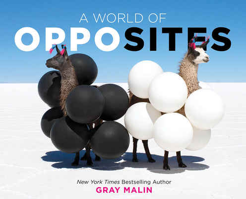A World of Opposites: A Picture Book