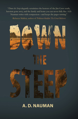 Down the Steep Cover Image