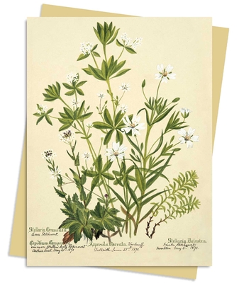 RBGE: Charlotte Cowan Pearson: Stitchworts, Woodruff and Pepperwort Greeting Card Pack: Pack of 6 (Greeting Cards)