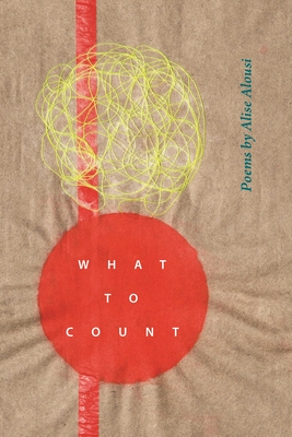 What to Count (Made in Michigan Writers)