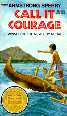 Cover for Call It Courage