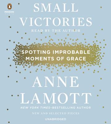 Small Victories: Spotting Improbable Moments of Grace Cover Image