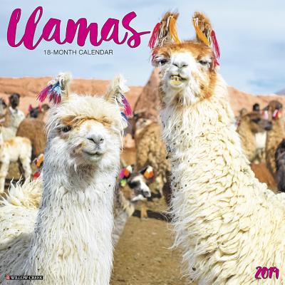 Llamas 2019 Wall Calendar Cover Image