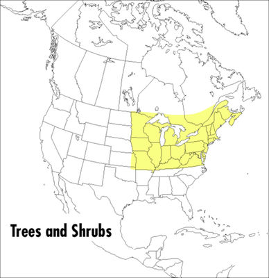 A Peterson Field Guide To Trees And Shrubs: Northeastern and north-central United States and southeastern and south-centralCanada (Peterson Field Guides)