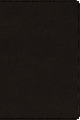 ESV Church History Study Bible: Voices from the Past, Wisdom for the Present (Genuine Leather, Black) By Stephen J. Nichols (Contribution by), Keith A. Mathison (Contribution by), Gerald Bray (Contribution by) Cover Image