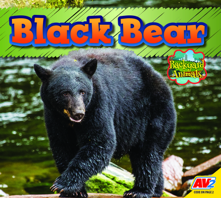 Black Bear (Backyard Animals) By Pamela McDowell Cover Image