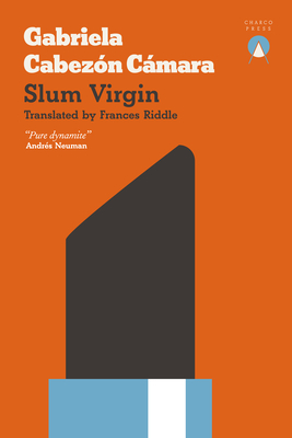 Slum Virgin By Gabriela Cabezón Cámara, Frances Riddle (Translator) Cover Image