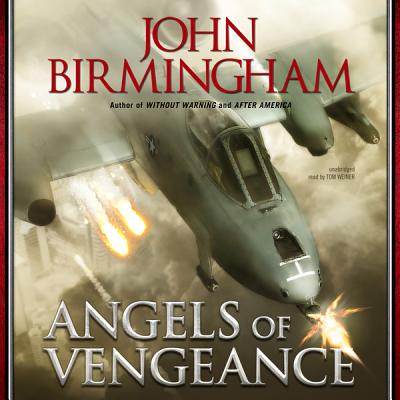 Angels of Vengeance (Without Warning) Cover Image