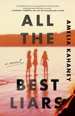 All the Best Liars: A Novel Cover Image