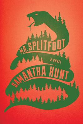 Cover Image for Mr. Splitfoot: A Novel