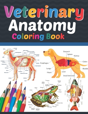 Veterinary Anatomy Coloring Book: Veterinary Anatomy Coloring and Activity Book for Boys & Girls. Veterinary Anatomy Coloring Book For Medical, High S By Sreijeylone Publication Cover Image