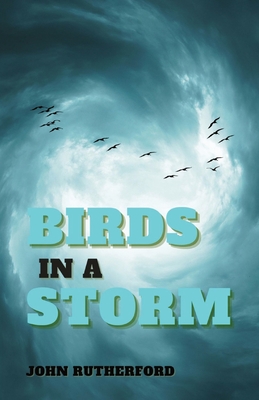 Birds in a Storm