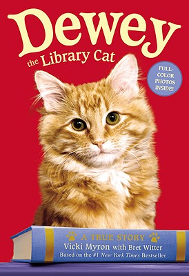 book review dewey the library cat