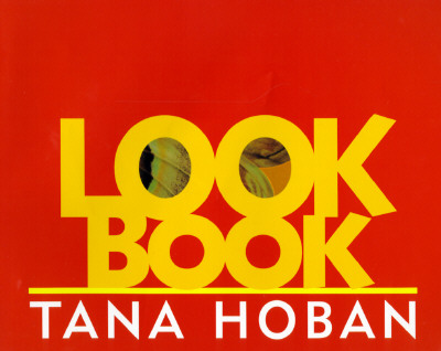 Look Book Cover Image