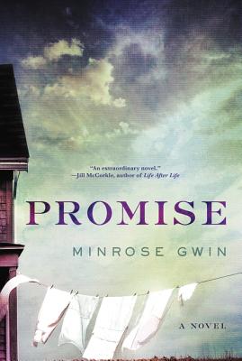 Promise: A Novel By Minrose Gwin Cover Image