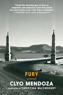 Cover Image for Fury: A Novel