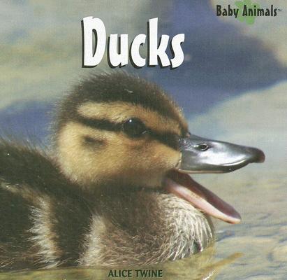 Ducks (Baby Animals) Cover Image