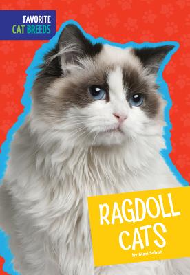 Ragdoll Cat Breed Guide - Cat Guides - Scrumbles