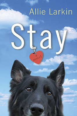 Stay Cover