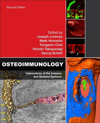 Osteoimmunology: Interactions of the Immune and Skeletal Systems Cover Image