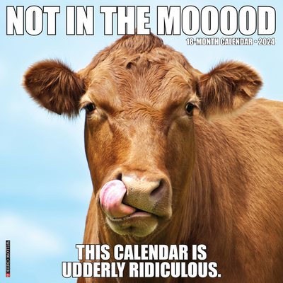 Not in the Mooood 2024 12 X 12 Wall Calendar Cover Image