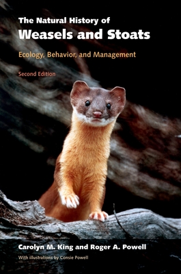 The Natural History of Weasels and Stoats: Ecology, Behavior, and Management By Carolyn M. King, Roger a. Powell, Consie Powell (Illustrator) Cover Image