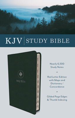 The KJV Study Bible, Indexed (Evergreen Fog) (King James Bible)