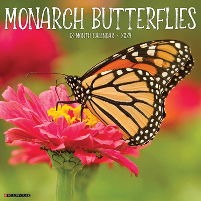 Monarch Butterflies 2024 12 X 12 Wall Calendar By Willow Creek Press Cover Image