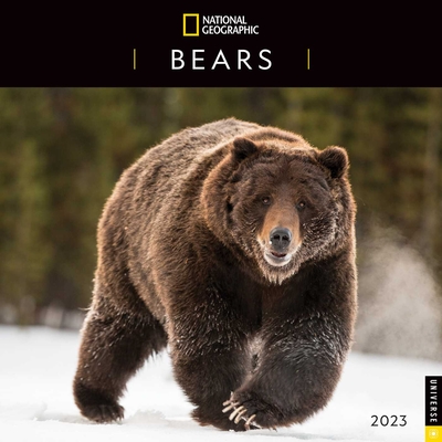 National Geographic: Bears of the World 2023 Wall Calendar By National Geographic Cover Image