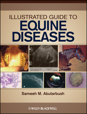 Illustrated Guide to Equine Diseases By Sameeh M. Abutarbush (Editor) Cover Image
