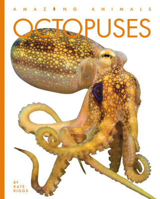 Octopuses (Amazing Animals) Cover Image