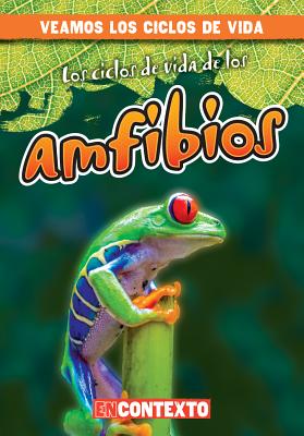 Los Ciclos de Vida de Los Anfibios (Amphibian Life Cycles) (Veamos los Ciclos de Vida (A Look At Life Cycles)) By Bray Jacobson, Alberto Jiménez (Translator) Cover Image