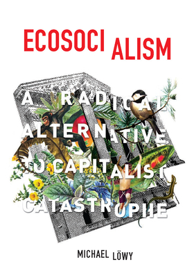 Cover for Ecosocialism