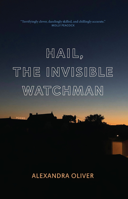 Hail, the Invisible Watchman Cover Image