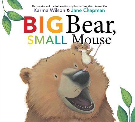 Big Bear, Small Mouse (The Bear Books) Cover Image