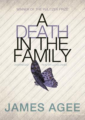 Cover for A Death in the Family