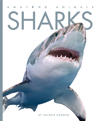 Sharks (Amazing Animals) By Valerie Bodden Cover Image