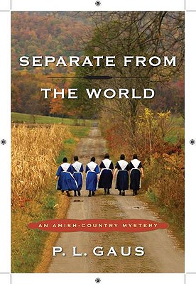 The Amish Village Mysteries