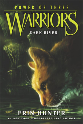 Dark River (Warriors: Power of Three #2)