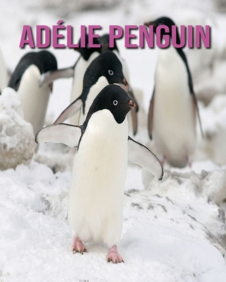Adélie Penguin: Fun Facts and Amazing Photos of Animals in Nature Cover Image
