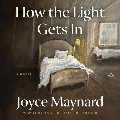 How the Light Gets in Cover Image