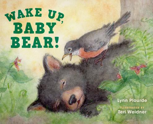 Cover for Wake Up, Baby Bear!