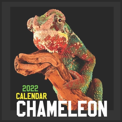 Chameleon Calendar 2022: Official Chameleons Calendar 2022,12 Months, Square Calendar 2022 By Calendar 2022 Pub Print Cover Image